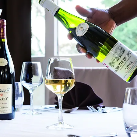 酒店 马尔利奥布洛斯别墅spa酒店 艾克斯莱班